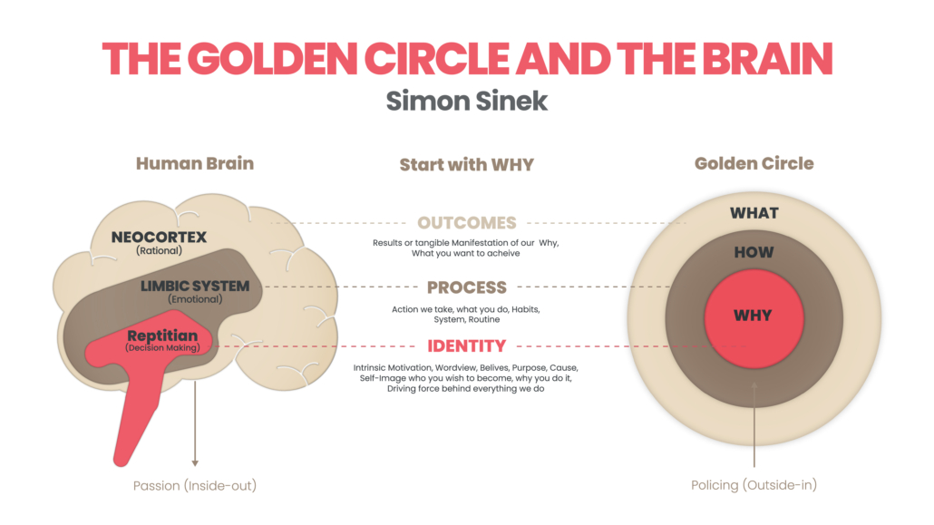 The Golden Circle and brain illustration of Simon Sinek are 3 elements starting with a Why question. Diagram vector presentation inform the origin of human performance or behavior of user target goal